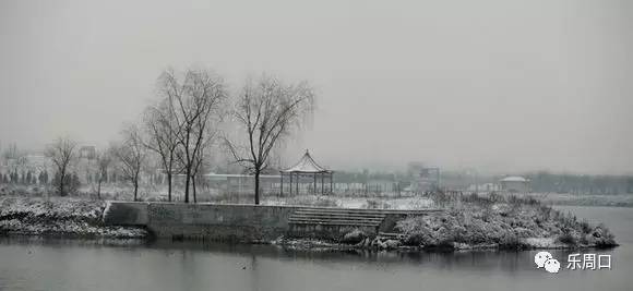 家乡郸城美景,家乡的风俗河南郸城作文