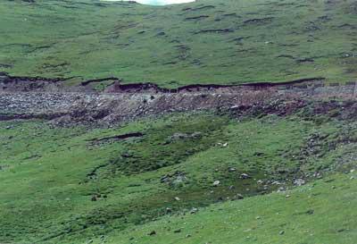 冻土层长成什么样,冰下面的地下土长什么样