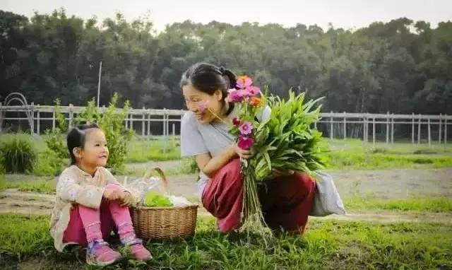 旗溪生活农场团购,旗溪生活农场