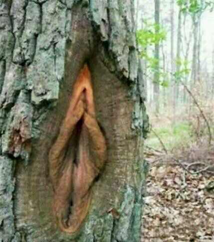 不可思议的十六大奇观,不可思议的六大奇观现象