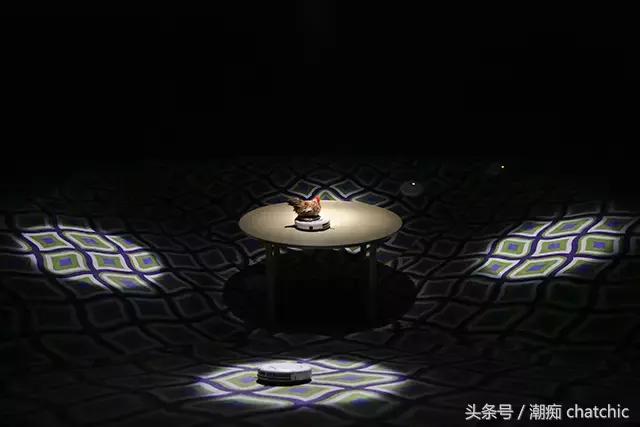 newgucci (新的gucci要怎么看)