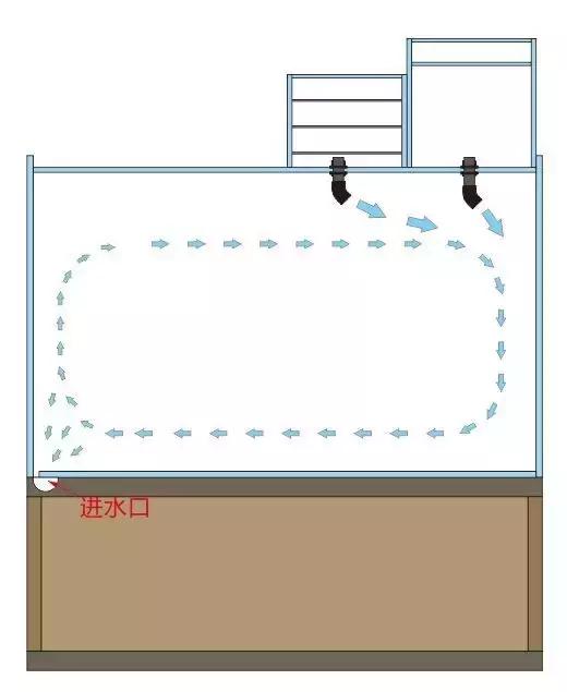 养罗汉鱼侧滤和上滤哪个效果好,双边侧滤鱼缸怎么过滤