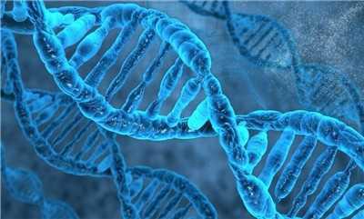 咖啡斑会让人变笨吗,咖啡斑影响颜值吗