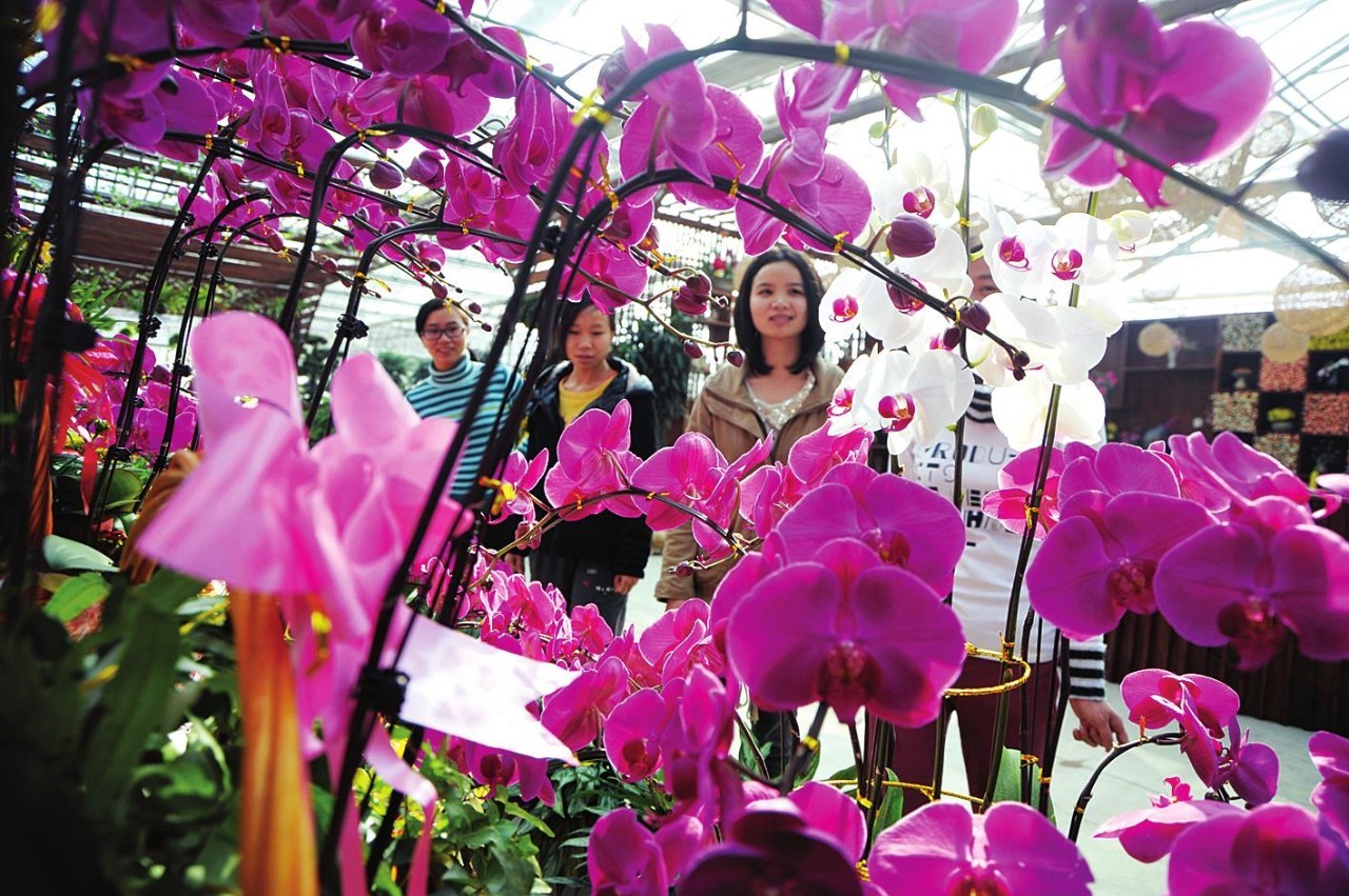 小时候的年味特别浓,小时候的年味值得怀念