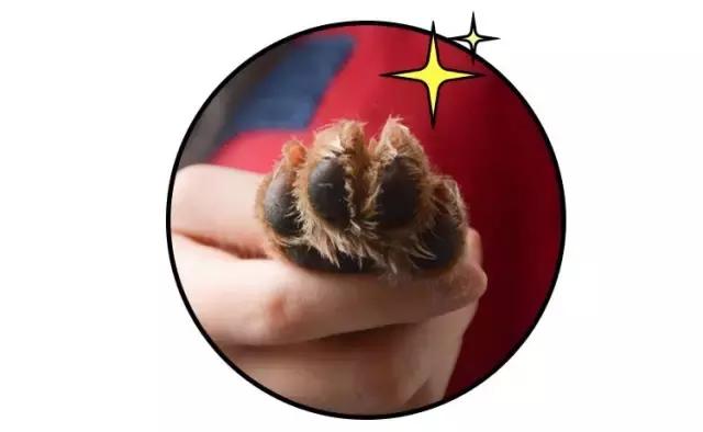 免洗泡沫推荐,免洗泡沫