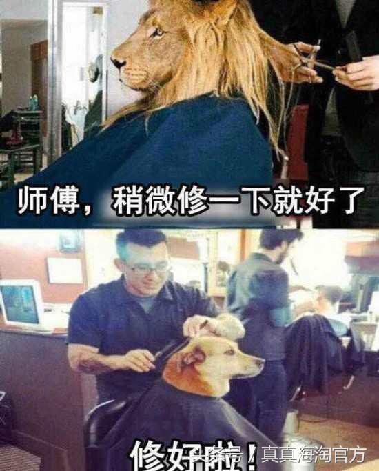 过年剪发血泪史理发师理解不了你的“修”