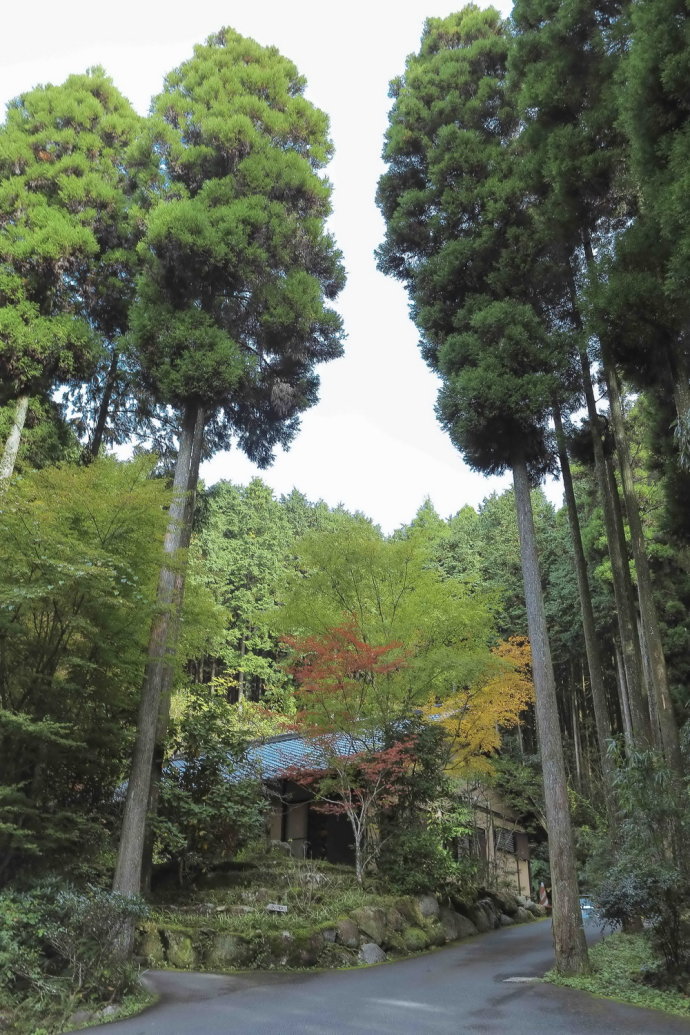温泉之旅温泉篇,体验更舒适的自然温泉之旅