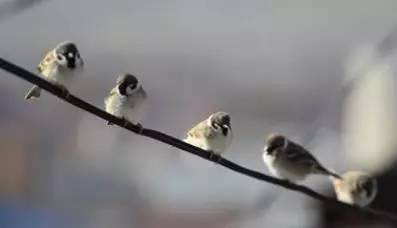 一个数学家的辩白在线阅读,初学数学的问题及解题方法