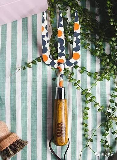 用植物点缀空间，请先抛弃老土花器