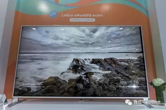 朝花夕拾0409,朝花夕拾2019