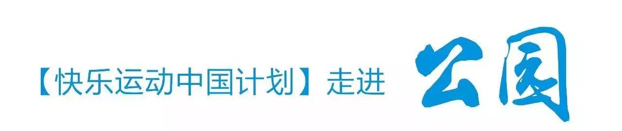 快乐运动带来的快乐,快乐运动健康领域