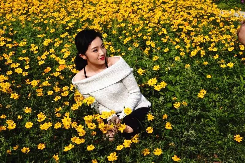 就在今日,百万鲜花盛放!南海这个“花花世界”等你来赏!