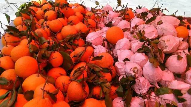 成都年货必备清单一览表,成都年货采购攻略