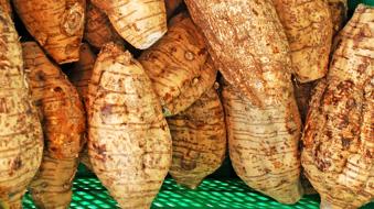 广东过年送礼特产推荐,过年送礼佛山特产