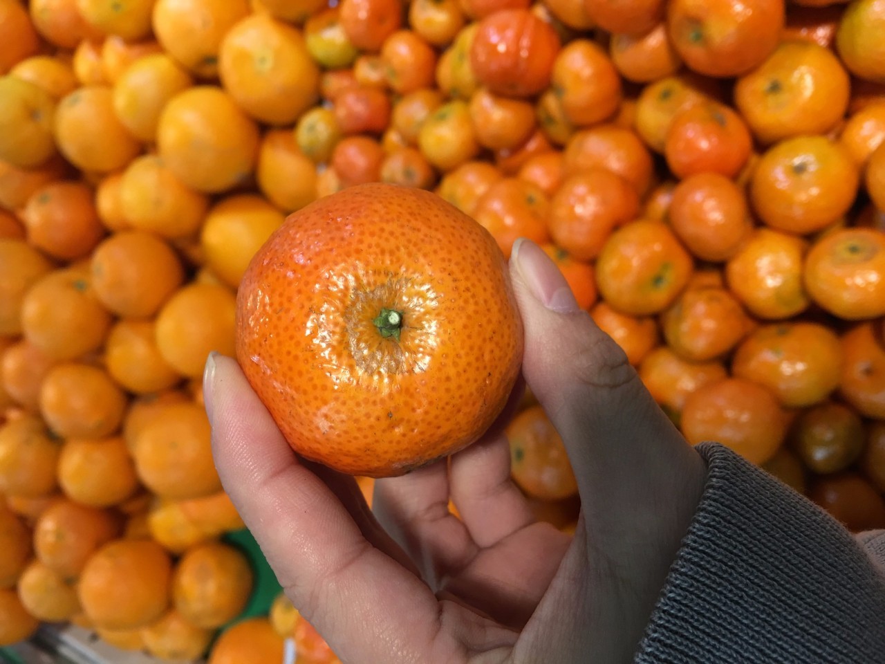 「微快讯」克拉玛依市民买到疑似染色的砂糖橘市场监管局已介入调查