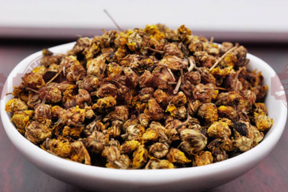 中药知识必学侧柏叶,中药知识必学蒺藜