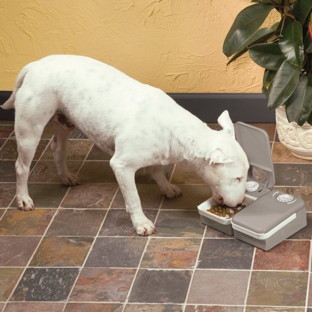 瘫在家里的假期来了,这里有37件让你瘫起来更舒服的梦想之物(下)