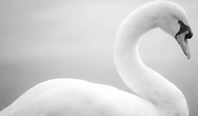 中国互联网的“携程时刻”｜秦朔访问