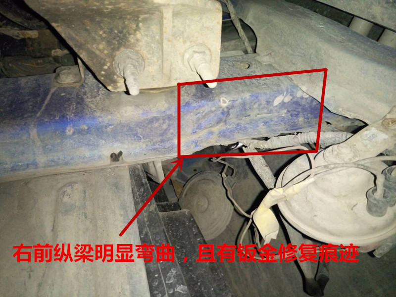 购买几千雨燕,买雨燕被坑