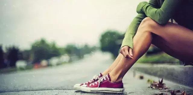 一千个人的心中有一千种正义,一千个人心中有一千种菊