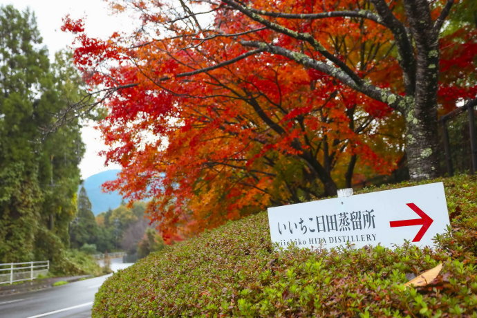 初冬九州温泉旅游攻略,与闺蜜冬日游山庄