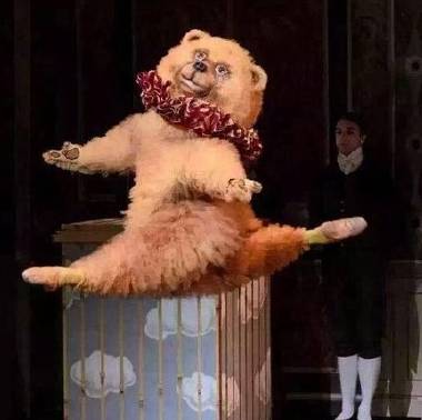 王凯张杰同框,王凯和李健唱歌