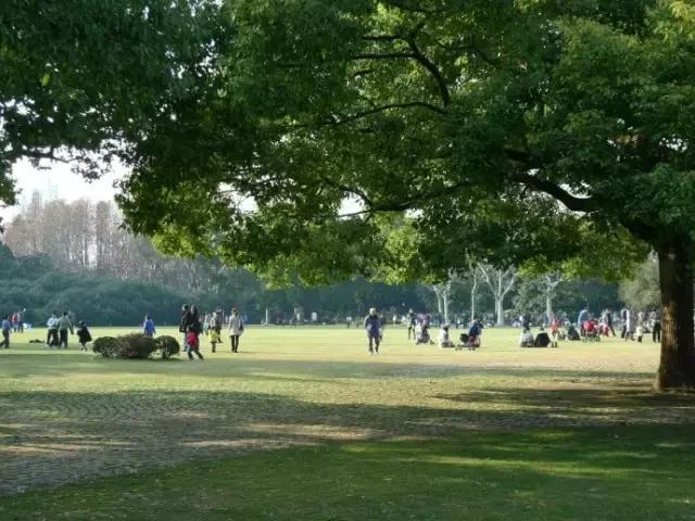 中山公园前生,景山公园的玄机