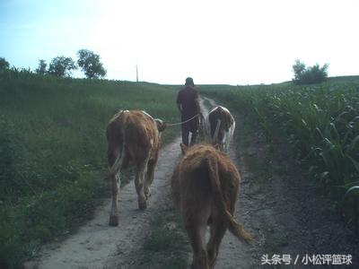 十首写给父母的经典歌曲，听完落泪，今年无论如何一定回家过年