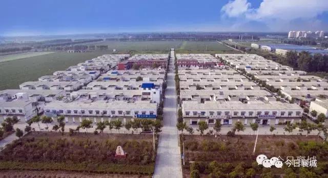 鎴戜负瑗勯槼楠勫偛姝屾洸,鎴戜负浣犺嚜璞篃涓轰綘楠勫偛