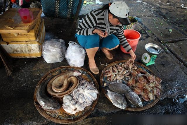 越南芽庄最新海鲜,实拍越南的海鲜集市