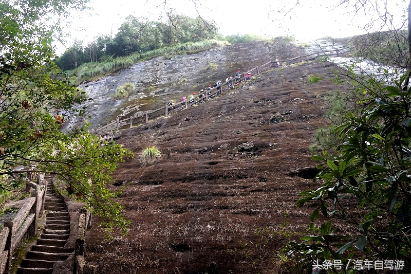 武夷山2日游线路,武夷山两日游团价格表