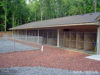 从网上买狗狗需要注意什么,如何在网上买狗狗不会上当