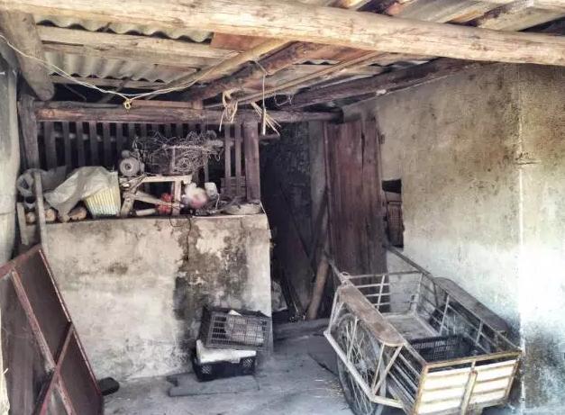 香港夫妻移民香港,香港夫妻改造旧房