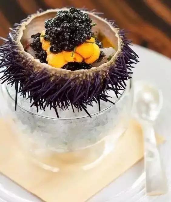 深海鱼子酱的功效与作用,来自深海的鱼完整版