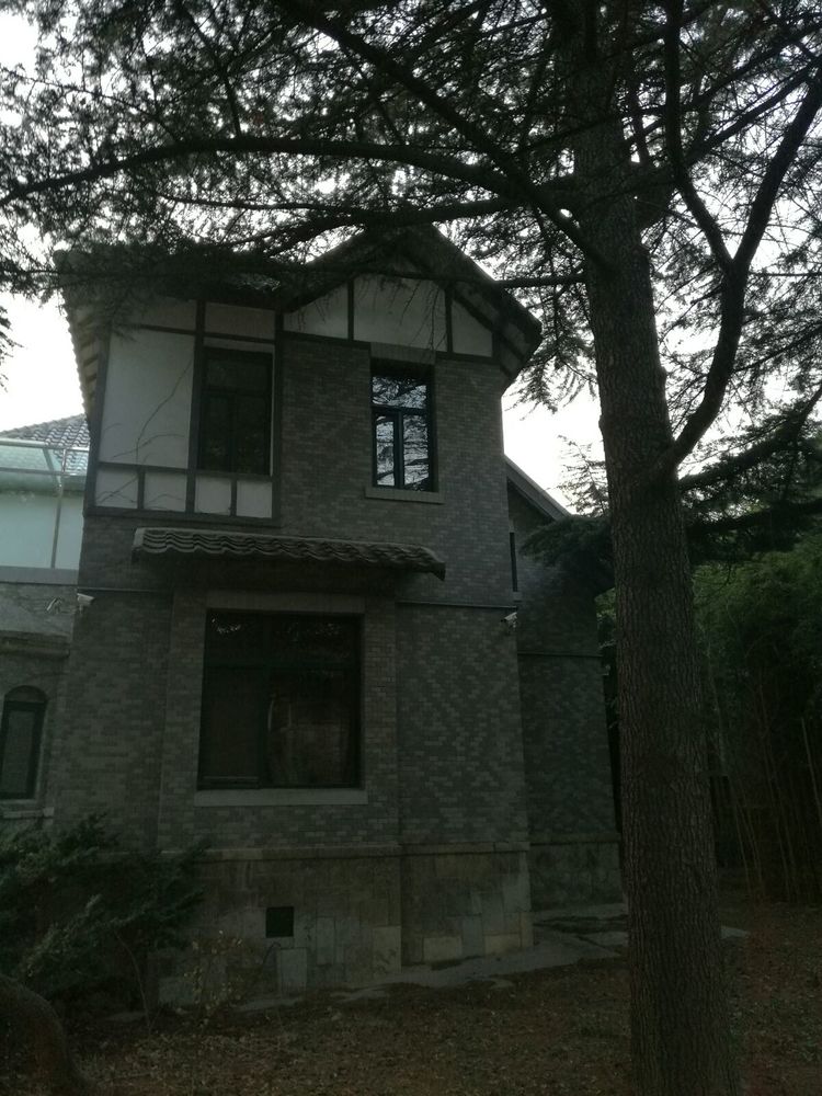 追寻历史遗迹感受文化魅力,八七疗养院历史遗迹