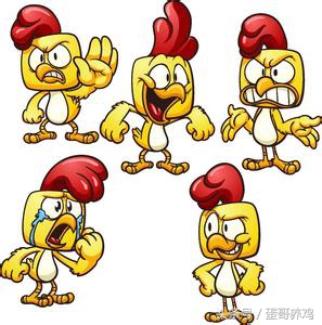 鸡病诊断与防治图谱,鸡病快速判断处理方法大全图解