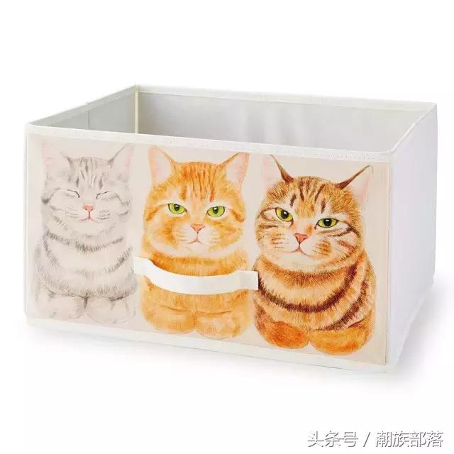 猫控营养补充剂,猫控