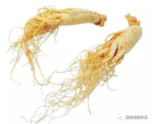 安国百花草价格,安国药草的功效和作用