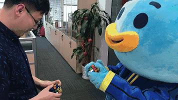 时下最流行的词条,全网最火爆的词条