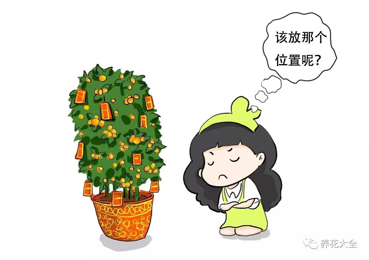 过年年宵花好卖吗,过年摆的年宵花有哪些