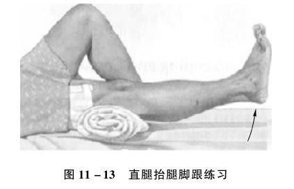 老年运动系统疾病的照护：常见部位骨折的照护要点（二）