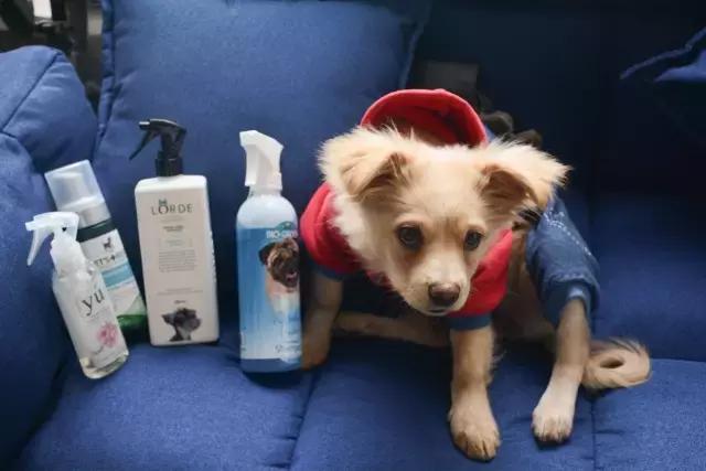 免洗泡沫十大排行榜,免洗泡沫洗手液测评