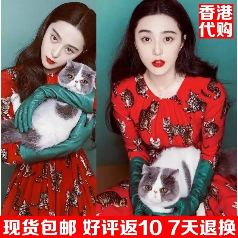 哭着笑出来，被平台爆款盗用的杂志封面