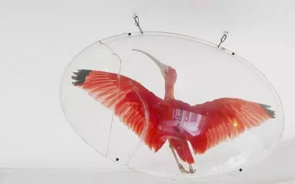 聂鲁达说,没有玩具我就没法活!那么,来看看大诗人怎么活的吧