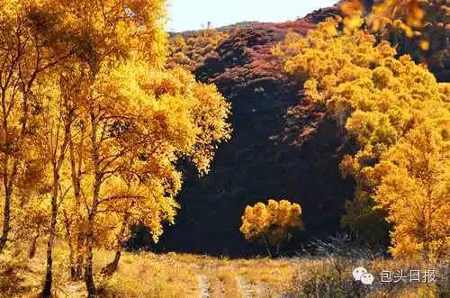 「关注」初一出门必看！过年去哪嗨26个字母带您玩遍包头好玩处！过年啦，带家人朋友逛起来！