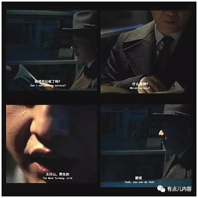 综艺节目策划宣传文案,综艺节目推广文案