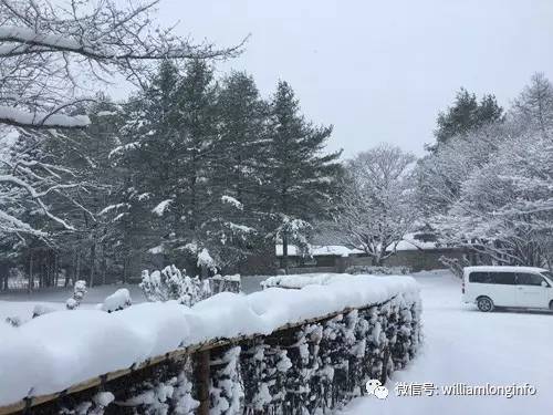 日本北海道旅游攻略自由行,日本大阪旅游攻略