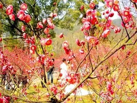 过年不想去人太多地方玩,过年不想呆在家里面