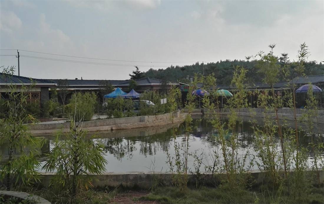 南宁附近农家乐排行榜,南宁十全十美农家乐