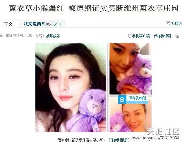 薰衣草小熊,薰衣草小熊是什么